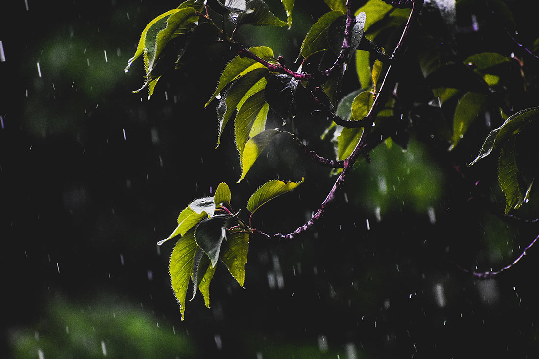 ali-kurmasha-BPp6fcxpzAk-unsplash